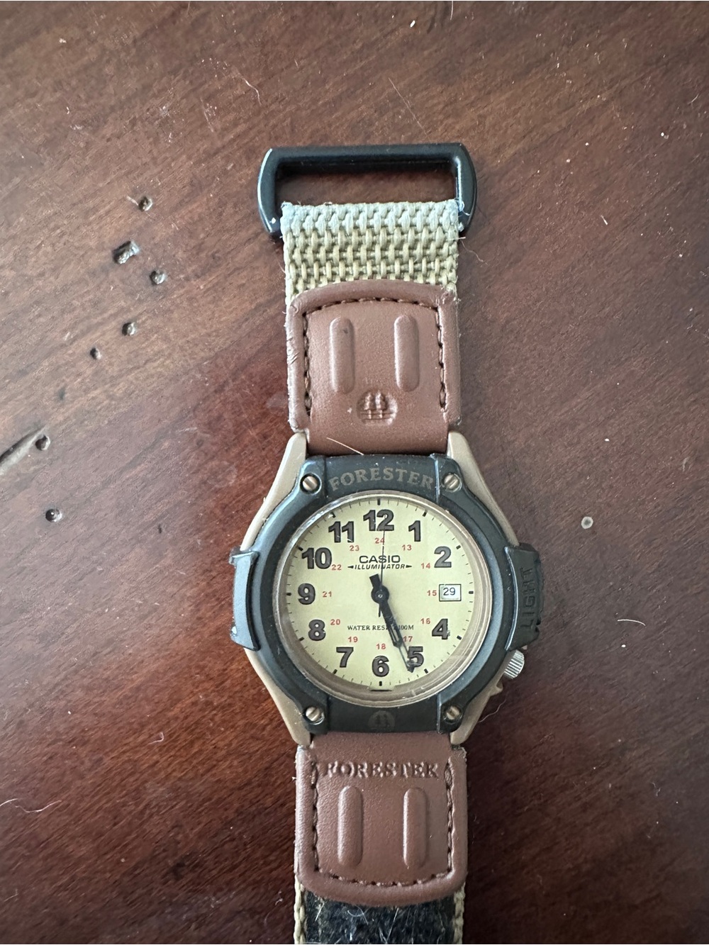 Casio Forester Brown and Beige Field Watch